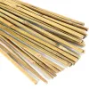 Suporta 20 PCS Plants Support Bamboo Sticks Planta resistente Apoiando a estaca de fixação para usuários de plantas em vasos de jardim