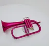 Высококачественный BB мелодия Flugelhorn Pink Gloss Lacquer Brass Bell Musical Instrument Professional с аксессуарами Case1586184