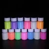 Kits 13 couleurs peinture acrylique lueur dans la peinture de peinture brillante en or foncé peinture pigmentaire fluorescent poudre de poudre pour les fournitures d'art nail