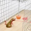 Kontrolle in Innen- und Außenratten, Fangen Sie Ratten Cage Smart Self -Self -Mouetrap -Mausfalle verhindern, dass das Haus von Mäusen schädigt, Käfig für Zuhause
