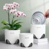 Meshpot 5inch 7inch Orchid Pots with Hole Double Layer Plastic Imitate Ceramic Planter Provide Good Air Circulation 240325