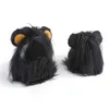 Kedi Kostümleri Headdress Wig Hat Pet Dog Headgear Puppy Costume Lion Cosplay Cadılar Bayramı