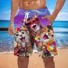 2024 Pantalons de plage en vrac pour hommes Summer 3D Shorts à la mode de chat imprimées