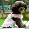 Hondenkleding schattig winterjurk huisdier rok puppy vest kleren yorkies pomeranian shih tzu maltese bichon poodle chihuahua kleding