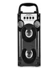 Carte de haut-parleur Bluetooth en haut-parleur Redmaine Playant FM Radio USB AUX LED Portable briller stéréo Music Player6050241