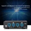 Microfones USB Dual Mixed Output Phantom Power Supply 48V Metal för kondensor Mikrofoner Musikinspelningsutrustning