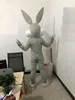 Figurinos profissionais de Páscoa adultos, coelho personalizado e trajes de mascote de coelho para venda