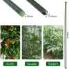 Suporta estacas de planta de jardim de 24 polegadas de aço com revestimento de plástico suporta tomate para cultivar cerca de escalada post