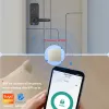 Lock TIAGO P12 Tuya Waterproof Smart Door Lock TTLock App Digital Fingerprint Card Password Key Outdoor Electronic Wooden doors Lock