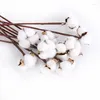 Fleurs décoratives 5pcs têtes de coton séché artificielles branche de fleurs blanches pour décoration de fête de mariage faux décoration intérieure