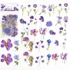 Opakowanie prezentów 40 szt. Naklejki do albumu Pet Transparent Flower Nature Floral Journal Po Diary DIY Art Crafts