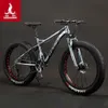 Phoenix Brand Tire Snowmobile, variabel kvinnlig manlig terrängstrandcykel, mountainbike 4.0, brett chockabsorberande och hastighetspendlingsfordon