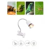 Iluminação UVA UVB Kit de lâmpada de répteis com clipon portador de luz de cerâmica Tartaruga Lâmpada de aquecimento UV Tortaria Lizard Lighting Eu