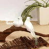 Gartendekorationen 1PC Künstliche Taube Vögel gefälschte Tauben Simulation Feder Weihnachtsbaum Hochzeitsfeier Ornamente Home Wohnzimmerdekoration