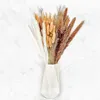 Fleurs décoratives 90pcs Pampas Grass for Boho Chic Home Decor et Naturellement Séché Bouquet de bouquet