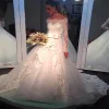 Платья с длинным рукавом кружев свадебное платье бато