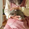 Кошачьи перевозчики фланелевая спальная мешка для домашних животных, удерживающая фартук мягкий котенок котенок маленькие домашние животные спящий мешоч