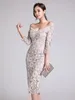 Casual Dresses Korean Style Fashion Lace Dress Women Elegant Chic Sexy Low Cut Bodycon Midi Robe Evening Party Prom Vestidos Banquet Clothes