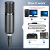 Microphones Maono XLR Microphone Microphone Kit cardioïde Vocal Studio Mic pour le streaming Voice Over horstudio.pm320s