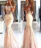 Nigerian Mermaid Sexy Sleeveless African Evening Dresses Prom Dress Lace Plus Size Backless Formal Party Wear Strapless See Throug5088520