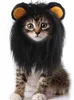 Kedi Kostümleri Headdress Wig Hat Pet Dog Headgear Puppy Costume Lion Cosplay Cadılar Bayramı