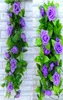 24m Fleurs artificielles Ivy Vine Fake Silk Roses Home Wedding Decoration suspendue Garland Decor5060486