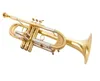 NY TROMPET ORIGINAL B LATT TRUMPET LT197GS-77 Musikinstrument tyngre Guldplätering av trumpet spelar musik