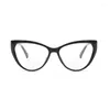 Sunglasses Women Cat Eye Bifocals Pochromic Reading Female Look Near Far Presbyopic Eyeglasses Automatic Discoloration Gafas