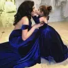 Royal Blue Mermaid Mother Mother of the Bride Dress Matching Daughter Dresses Velvet Sexy Backless Prom Dresses