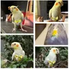 Other Bird Supplies Diaper Parrot Washable Nappies For Parakeet Cockatiel Macaw Budgie Canary Flight 2 Pcs Soft Suits With Leash Hole