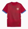 2024 2025 Serbia Soccer Jerseys Milivojevic Mitrovic Tadic Jovic Kolarov Kostic Vlahovic Sergel Matic Matic