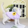 Kostium kotów Odzież jesień i zimowy kotek niebieski zwierzak 2024 pionowa aksamitna koreańska wersja