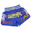 MMA Tiger Muay Thai Personalidade MMA boxe esportes fitness de boxe respirável shorts Pontas de calças de brigas de brigas de mma sanda 240329