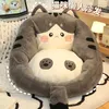 Pillow Lazy Sofa Bedroom Small Single Girl Cartoon Room Corner Reading Sitting Living Carpet Futon