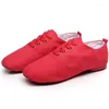 Dance Shoes Ballet Women Practice Soft Sole Ballroom Modern Training Men Children Latin Canvas Dancing