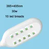 Essiccatori Lootaan 1pc 30W 10 LED LED LAMPAGNI A UNGLIA ALCHIO HINE HINE RICARICABILE PORTATILE ESCENTICO QUAST GEL BISISO UNICA DI UNICO LUCI DI LED PROFESSIONALE