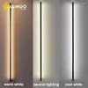 Wall Lamp Modern Minimalist Long LED Mounted Light Indoor Living Room Bedroom Background Home Decora Fixtures 90V 240V