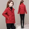 여자 트렌치 코트 2024 가벼운 및 면화 패딩 재킷 부드러운 겨울 여성 두껍게 따뜻한 옷을 느슨하게하는 파카 스 t206