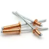 M2.4 M3.2 M4 M4.8 Copper Blind Rivets T2 Pure Head Copper Pull Nails Open Type Round Head Copper Pull Cap Nails GB12618.520