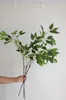 39.5 Faux Real Touch Elm Siberian Leaf Branch Greenery Artificial Greenery Diy Boda/Casa/Decoraciones de cocina Diy Floral 240409