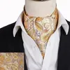 Hitie Adult Mens Cravat Ascot Tie set czarny czerwony paisley dla mężczyzn self self brytyjski dżentelmen Scarve240409