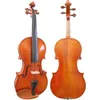 D Z Strad Model 220 Violin Bundle - Complete with Dominant Strings, Bow, Case, Rosin, and Shoulder Rest for Open Clear Tone - Full Size 4/4