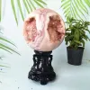 Brasil rosa rosa de amethyst geode esfera de chão de pedra decoração de bola de pedras preciosas amethyste chakras cura cristais decoração