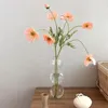 Vases Nordic Glass Flower Vase Creative Bubble Bouteau en forme de bille hydroponique transparente Ornement de table de mariage à la maison à la maison