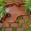 Levererar sköldpaddsvattenbassäng Reptiler badkar sköld