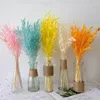 Decoratieve bloemen Natuurlijk bewaarde haver Haver Arrangement Schieten rekwisieten Boheemse chique decoratie vakantiegeschenken feest kerstdecor