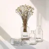 Decoratieve bloemen 100 stengels natuurlijke Braziliaanse gedroogde mini kleine sterren boeket daisy kamille voor huwelijksarrangementen woningdecoraties