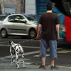 Colarinhos de cachorro Llarge retrátil luminosa coleira de caminhada leva a uma tração automática de cachorro de corda de extensão
