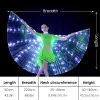 Glowing Dance Fairy Wings Colorful Butterfly Belly Dancing Costume Easter Halloween Xmas Belly Dance Wings Carnival Party Decor