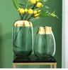 Vase Nordic Home Decor Glass Vase Vase Living Room装飾花の透明な装飾装飾グラスギフト
